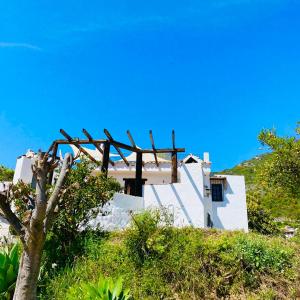 奧亨的住宿－Finca Flores，山顶上的白色房子