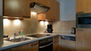 A kitchen or kitchenette at Appartement Miran by Miha