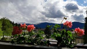 A general mountain view or a mountain view taken from Az apartmant