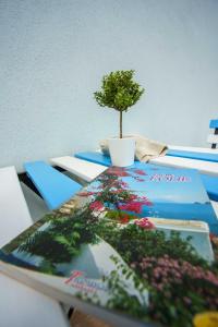 a table with a book with a plant on it at La casa del pescatore in Oliveri