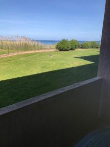 a view of a large field of green grass at Corsica studio Face à la mer Moriani plage in San-Nicolao
