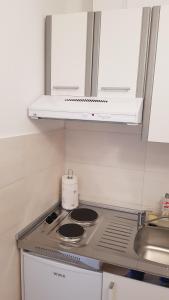 Kuchyň nebo kuchyňský kout v ubytování Apartman i sobe Martina