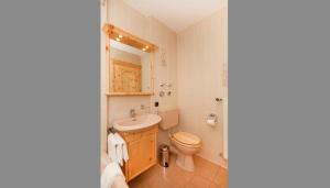 a bathroom with a toilet and a sink at Gschwendtnerhof App8 Fuß in Aschau im Chiemgau
