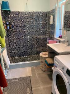 y baño con ducha y lavadora. en Appartement Belle Vue, en Lugano