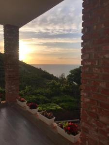 a view of the ocean from a balcony with flowers at Grand Seaview Apartments in Ksamil