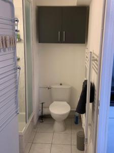 a small bathroom with a toilet and a shower at Sète 2.0 in Sète