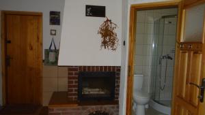 a bathroom with a fireplace with a toilet and a shower at Wieża Na Górce in Kunów +57 photos