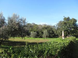 Un paisaje natural cerca del departamento