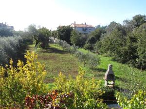 Un jardín fuera de Apartman Barbara