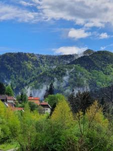Blick auf ein Tal mit Bäumen und Bergen in der Unterkunft Strada Tiszás vacation house in Băile Tuşnad