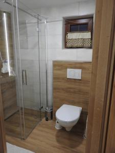 a bathroom with a toilet and a glass shower at Chatka Zornica in Ždiar