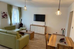 Televízia a/alebo spoločenská miestnosť v ubytovaní Newly renovated 2 rooms apartment downtown Nitra