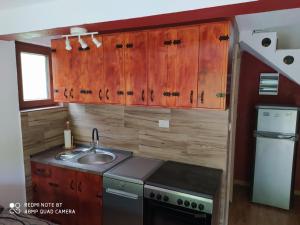 a small kitchen with wooden cabinets and a sink at Mileta&Vasilije in Mojkovac