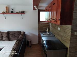 a kitchen with a sink and a bed in a room at Mileta&Vasilije in Mojkovac +28 photos