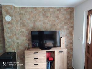 a flat screen tv sitting on top of a wooden dresser at Mileta&Vasilije in Mojkovac