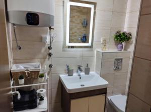 Un baño pequeño con lavabo y espejo. en Casa di Stefano apartment & SPA, en Zlatibor 36 fotos más