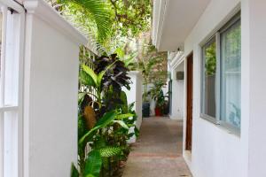 un corridoio di una casa con piante verdi di Hotel y Suites Corita a Bucerías