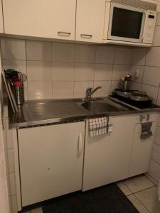 a small kitchen with a sink and a microwave at Flat Speicher St. Gallen in St. Gallen