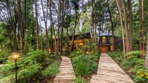 a house in the woods with a wooden path leading to it at Rakau Lodge in Pucón