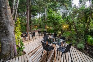 Zahrada ubytování Rakau Lodge