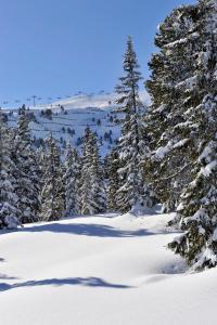 SCOL Sporthotel Zillertal pozimi