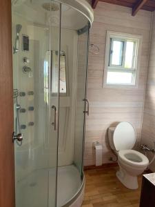 a bathroom with a shower and a toilet at Cabaña Punta Negra in Punta Colorada +10 photos