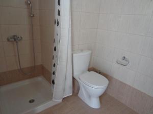a bathroom with a white toilet and a shower at Akti Zaga Apartments in Koroni