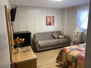 怀尔德伍德Oakview Hotel的带沙发和床的客厅