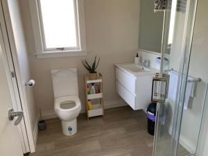 a bathroom with a toilet and a sink and a window at Brixton farm stay in Waitara