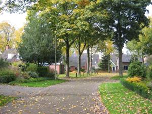 a street with trees and leaves on the ground at B&B De Esdoorn in Norg