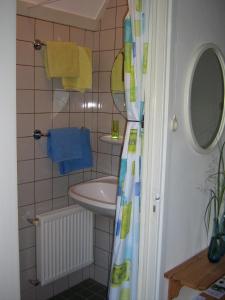 a bathroom with a sink and a shower curtain at B&B De Esdoorn in Norg