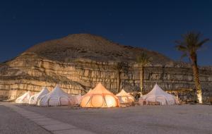 Photo de la galerie de l'établissement Selina Ramon, à Mitzpe Ramon