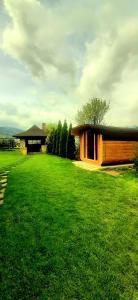 a building in a field of green grass at Casa Sofia in Vama