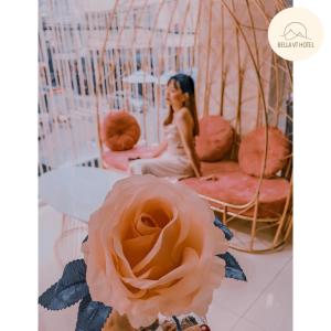 Hosté ubytování Bella Hotel Bai Sau Vung Tau