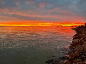 a sunset over a body of water with rocks at Shark Bay Seafront Apartments in Denham