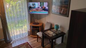 TV a/nebo společenská místnost v ubytování Pokoje Sobie na Wyspie