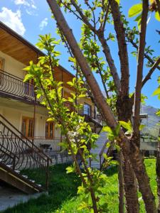 - une vue sur l'extérieur d'une maison avec un arbre dans l'établissement Sunny Mountain House, à Kazbegi
