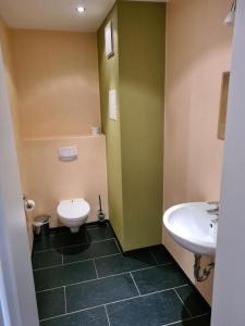 a bathroom with a toilet and a sink at Der Landhof Weide in Stolpe auf Usedom