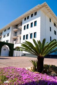 una palmera frente a un edificio con flores rosas en Hotel Giulia Ocean Club, en Qualiano