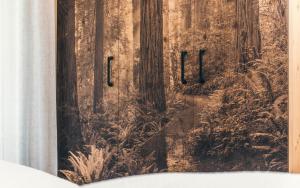 Fotografie z fotogalerie ubytování Lichtung Woldererhof Waldluft v destinaci Casateia
