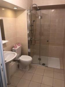 a bathroom with a shower and a toilet and a sink at Hotel Restaurant Les Gorges de Chouvigny in Chouvigny