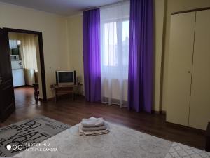 ムカチェヴォにあるApartments "Domovik" Beljaeva,5аの紫色のカーテンとテレビ付きのリビングルーム
