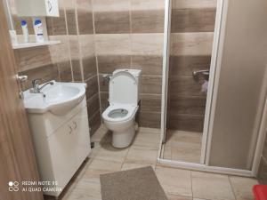 a bathroom with a toilet and a sink and a shower at Vaikiki Apartman LM in Novi Pazar