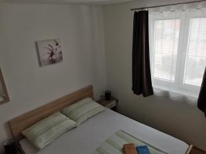 Gallery image of Apartman Jadranka in Vir +8 photos