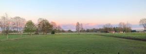 a large green field with trees in the distance at B&B Zandhuizen in Zandhuizen