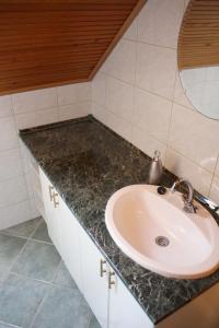 a bathroom with a sink and a counter top at Villa Prémecz in Zalakaros