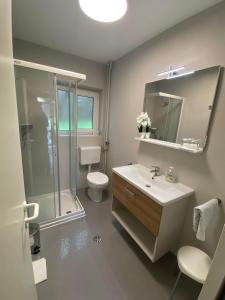 W łazience znajduje się prysznic, umywalka i toaleta. w obiekcie Guest House Golja w Bledzie