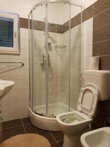 a bathroom with a shower and a toilet and a sink at "Laurier" rooms & apartments in Celina