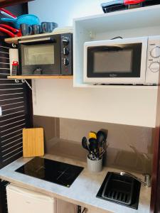 una cucina con lavandino e forno a microonde di Résidence de la baie - BLEU SOLEIL TARTANE a La Trinité