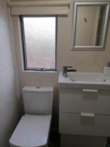 baño con aseo y lavabo y ventana en Poplar Lodge Log Caravan, en Kirkby on Bain